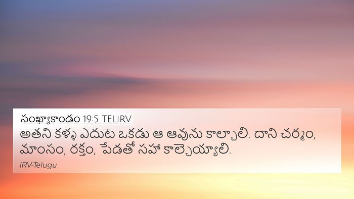 సంఖ్యాకాండం 19:5 TELIRV Bible Verse Image