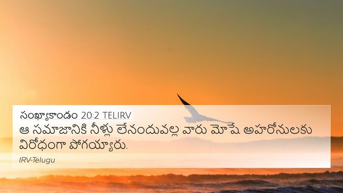 సంఖ్యాకాండం 20:2 TELIRV Bible Verse Image