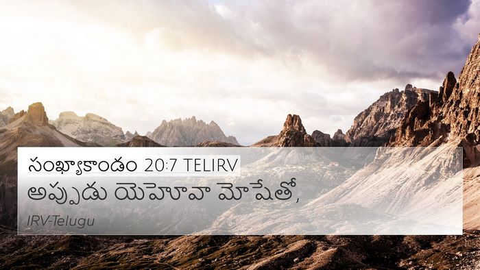 సంఖ్యాకాండం 20:7 TELIRV Bible Verse Image
