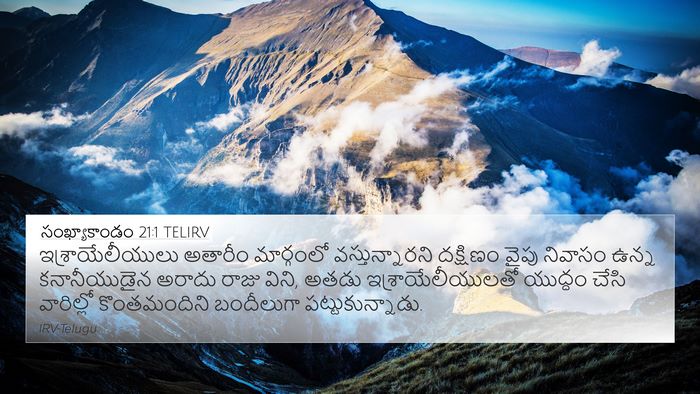 సంఖ్యాకాండం 21:1 TELIRV Bible Verse Image