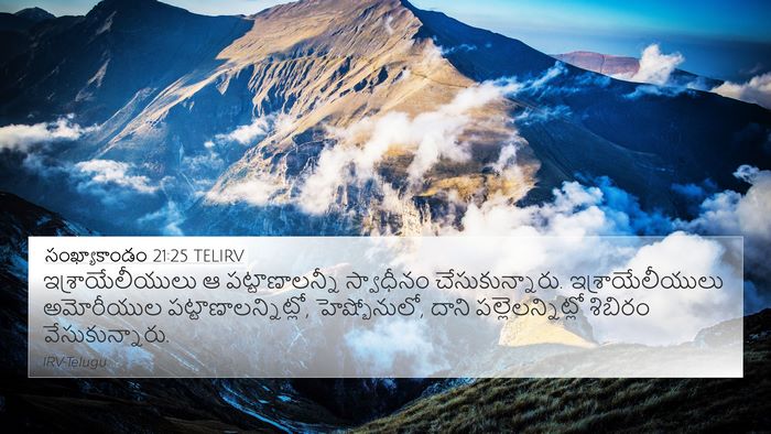 సంఖ్యాకాండం 21:25 TELIRV Bible Verse Image