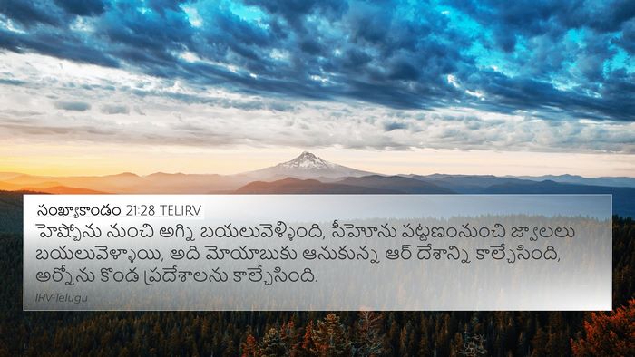 సంఖ్యాకాండం 21:28 TELIRV Bible Verse Image