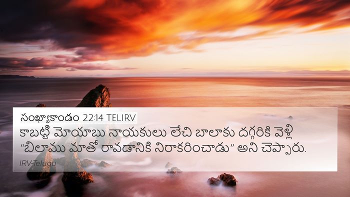 సంఖ్యాకాండం 22:14 TELIRV 4K Wallpaper - కాబట్టి మోయాబు - 4K Wallpaper Bible Verse