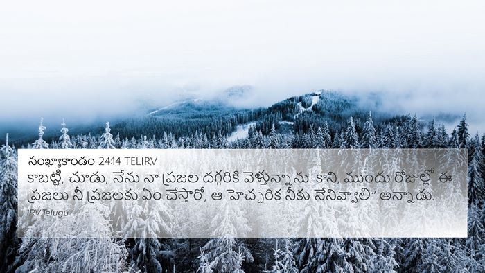 సంఖ్యాకాండం 24:14 TELIRV Bible Verse Image
