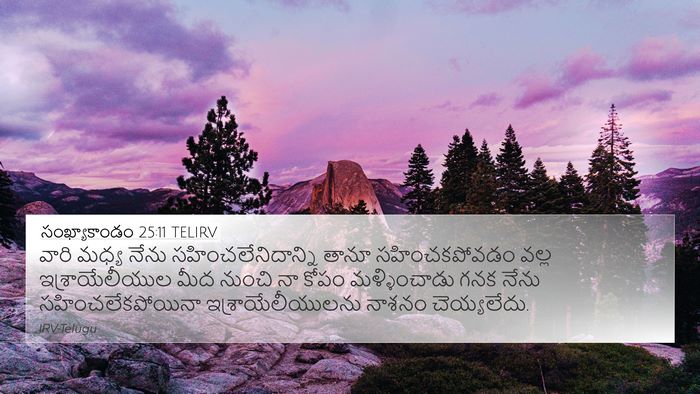సంఖ్యాకాండం 25:11 TELIRV Bible Verse Image