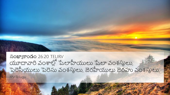 సంఖ్యాకాండం 26:20 TELIRV Bible Verse Image