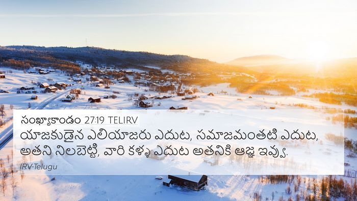 సంఖ్యాకాండం 27:19 TELIRV 4K Wallpaper - యాజకుడైన ఎలియాజరు - 4K Wallpaper Bible Verse