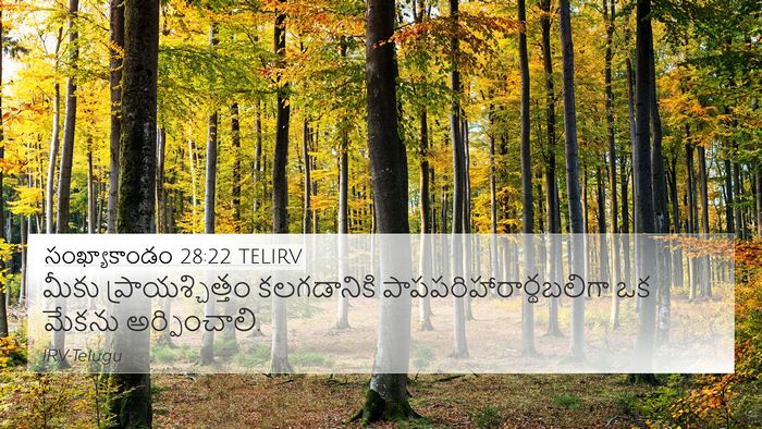 సంఖ్యాకాండం 28:22 TELIRV 4K Wallpaper - మీకు - 4K Wallpaper Bible Verse