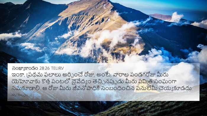 సంఖ్యాకాండం 28:26 TELIRV 4K Wallpaper - ఇంకా, ప్రథమ ఫలాలు - 4K Wallpaper Bible Verse