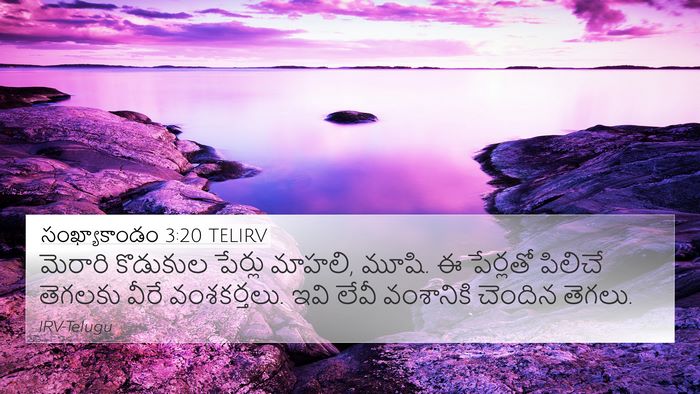 సంఖ్యాకాండం 3:20 TELIRV Bible Verse Image