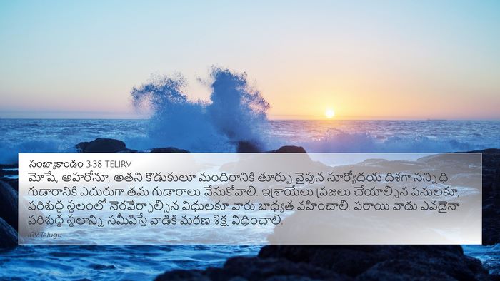 సంఖ్యాకాండం 3:38 TELIRV Bible Verse Image
