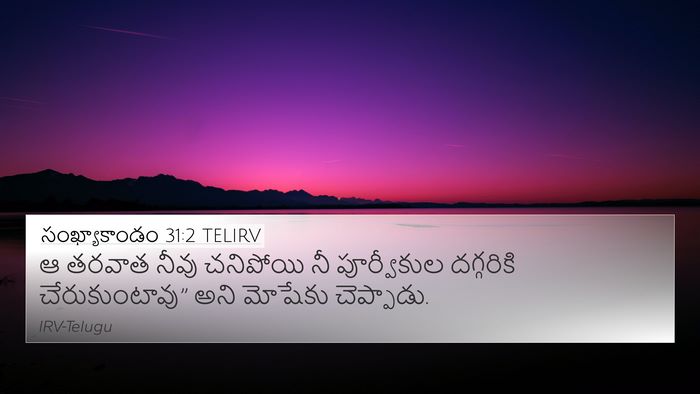 సంఖ్యాకాండం 31:2 TELIRV 4K Wallpaper - ఆ తరవాత నీవు - 4K Wallpaper Bible Verse