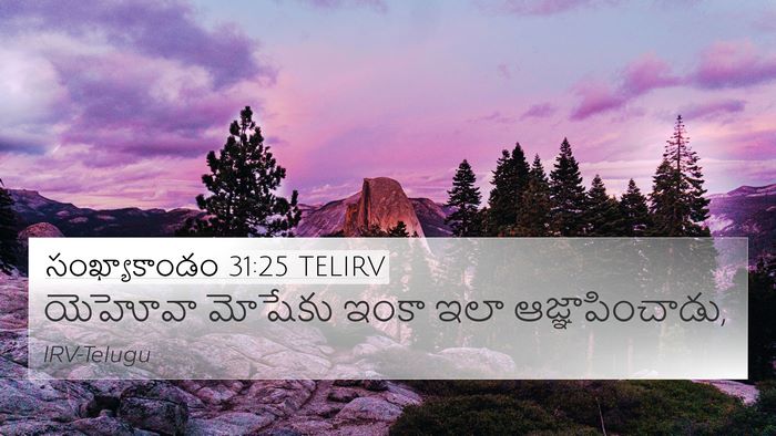 సంఖ్యాకాండం 31:25 TELIRV 4K Wallpaper - యెహోవా మోషేకు - 4K Wallpaper Bible Verse