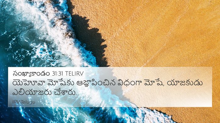 సంఖ్యాకాండం 31:31 TELIRV 4K Wallpaper - యెహోవా మోషేకు - 4K Wallpaper Bible Verse