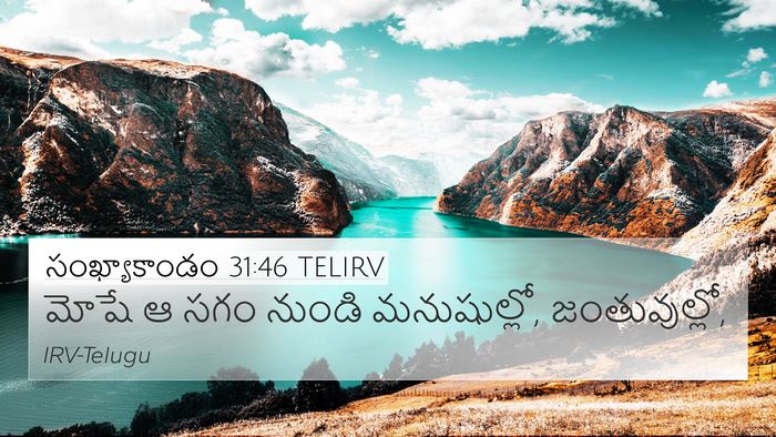 సంఖ్యాకాండం 31:46 TELIRV 4K Wallpaper - మోషే ఆ సగం నుండి - 4K Wallpaper Bible Verse