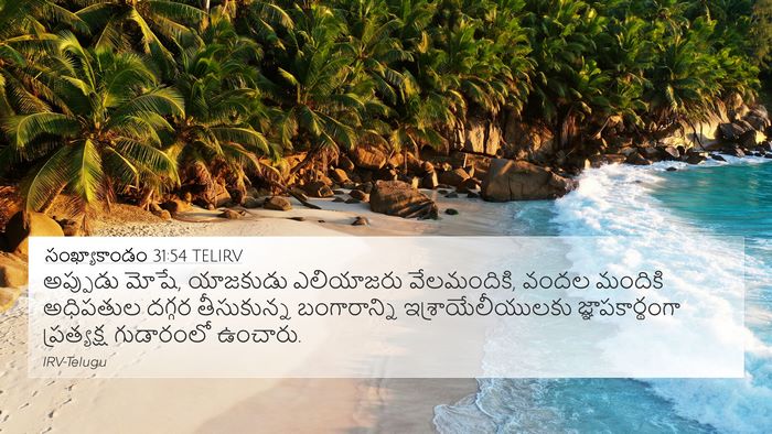 సంఖ్యాకాండం 31:54 TELIRV Bible Verse Image
