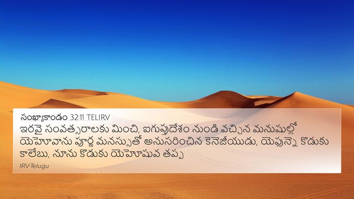 సంఖ్యాకాండం 32:11 TELIRV Bible Verse Image