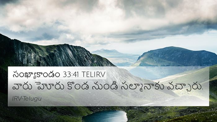 సంఖ్యాకాండం 33:41 TELIRV Bible Verse Image