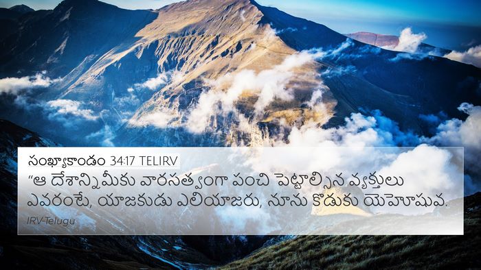 సంఖ్యాకాండం 34:17 TELIRV Bible Verse Image