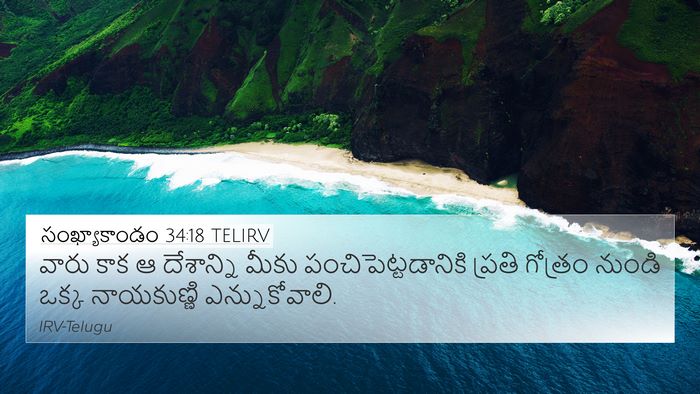 సంఖ్యాకాండం 34:18 TELIRV Bible Verse Image