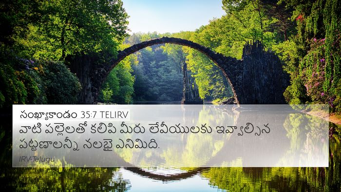 సంఖ్యాకాండం 35:7 TELIRV 4K Wallpaper - వాటి పల్లెలతో - 4K Wallpaper Bible Verse