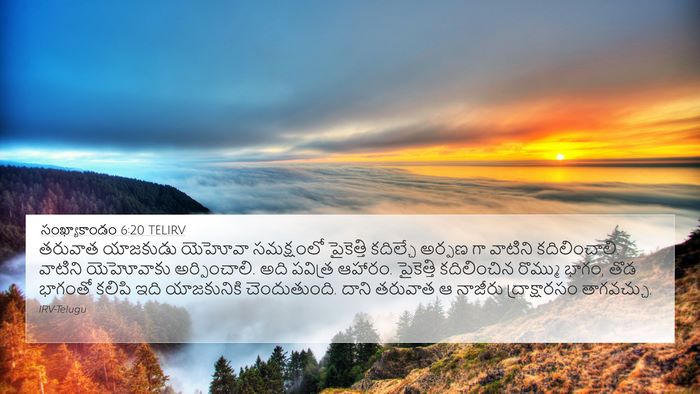 సంఖ్యాకాండం 6:20 TELIRV Bible Verse Image