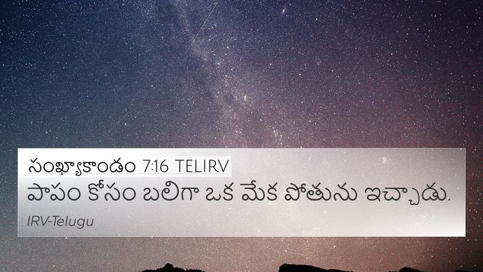 సంఖ్యాకాండం 7:16 TELIRV Bible Verse Image