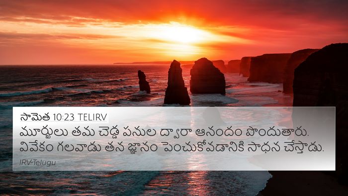 సామెత 10:23 TELIRV Bible Verse Image