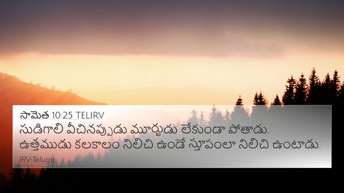సామెత 10:25 TELIRV Bible Verse Image