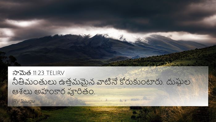 సామెత 11:23 TELIRV Bible Verse Image