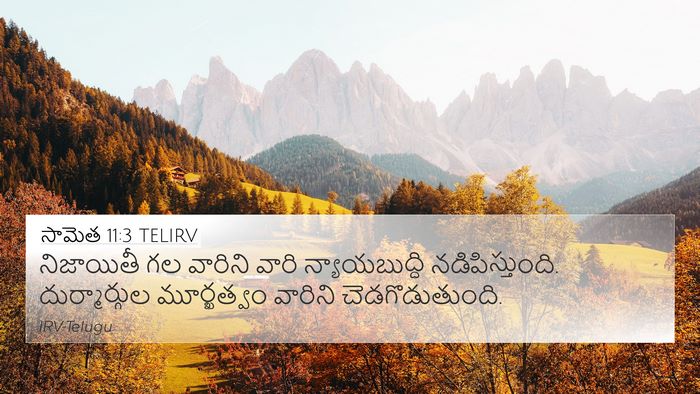 సామెత 11:3 TELIRV Bible Verse Image