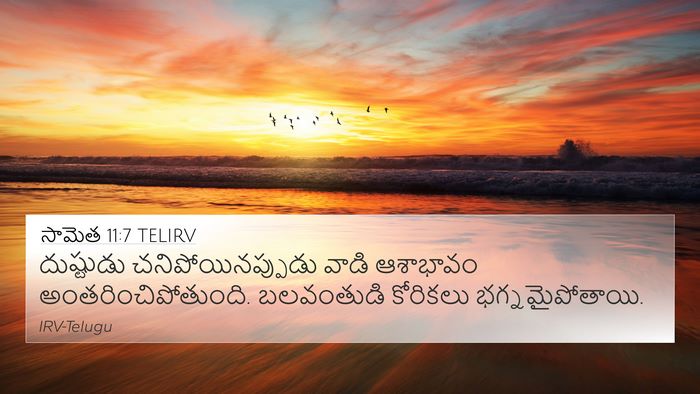 సామెత 11:7 TELIRV 4K Wallpaper - దుష్టుడు - 4K Wallpaper Bible Verse