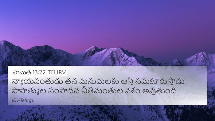 సామెత 13:22 TELIRV Bible Verse Image