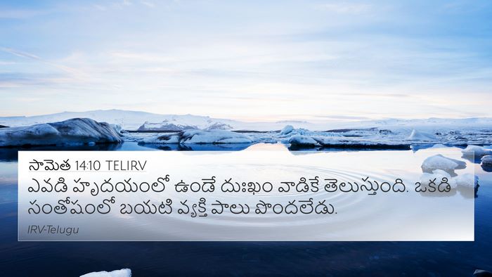 సామెత 14:10 TELIRV Bible Verse Image