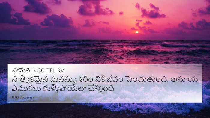 సామెత 14:30 TELIRV Bible Verse Image