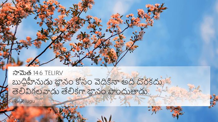 సామెత 14:6 TELIRV Bible Verse Image