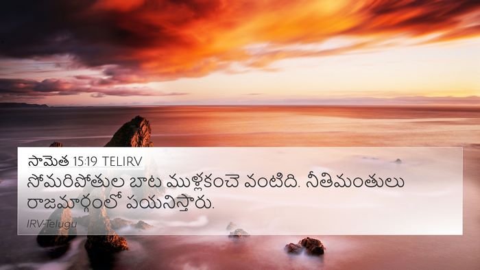సామెత 15:19 TELIRV Bible Verse Image