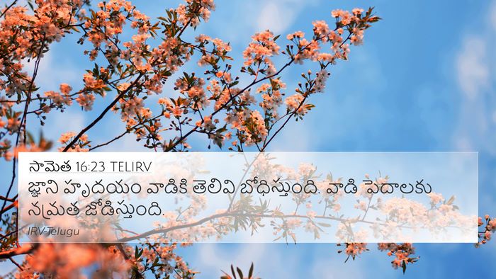 సామెత 16:23 TELIRV Bible Verse Image