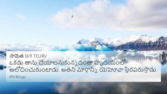 సామెత 16:9 TELIRV Bible Verse Image