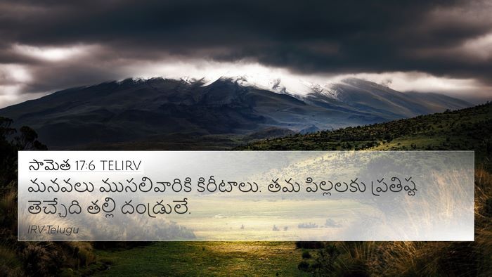 సామెత 17:6 TELIRV Bible Verse Image