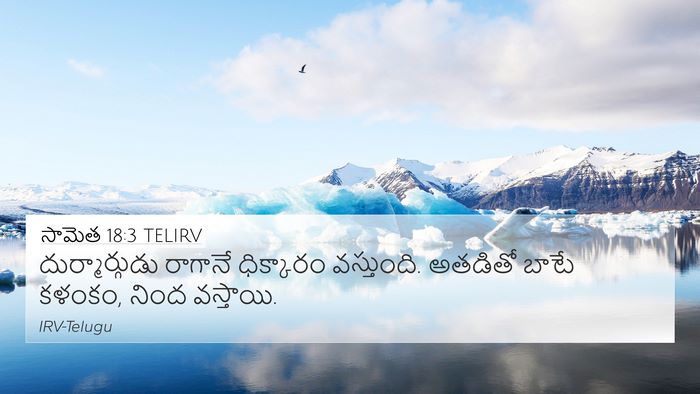 సామెత 18:3 TELIRV 4K Wallpaper - దుర్మార్గుడు - 4K Wallpaper Bible Verse