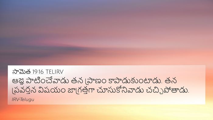 సామెత 19:16 TELIRV 4K Wallpaper - ఆజ్ఞ పాటించేవాడు - 4K Wallpaper Bible Verse