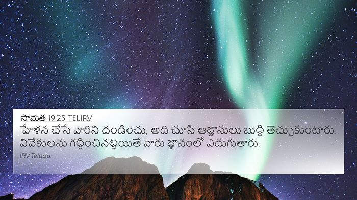 సామెత 19:25 TELIRV 4K Wallpaper - హేళన చేసే వారిని - 4K Wallpaper Bible Verse