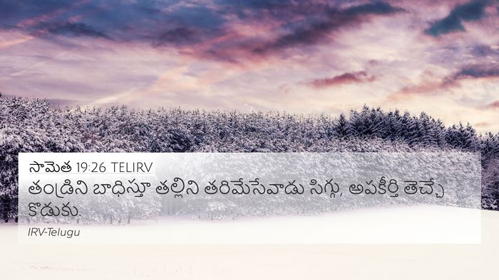 సామెత 19:26 TELIRV 4K Wallpaper - తండ్రిని బాధిస్తూ - 4K Wallpaper Bible Verse