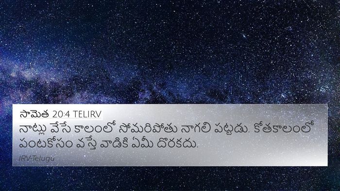 సామెత 20:4 TELIRV Bible Verse Image
