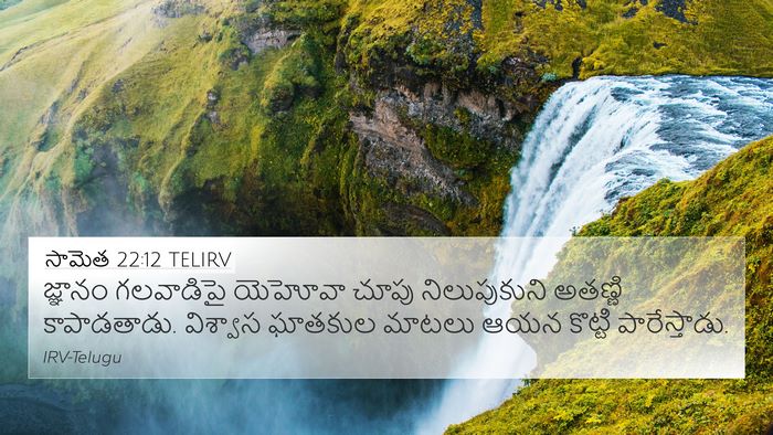 సామెత 22:12 TELIRV 4K Wallpaper - జ్ఞానం గలవాడిపై - 4K Wallpaper Bible Verse