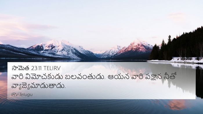 సామెత 23:11 TELIRV Bible Verse Image