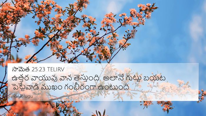 సామెత 25:23 TELIRV Bible Verse Image