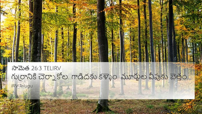 సామెత 26:3 TELIRV Bible Verse Image