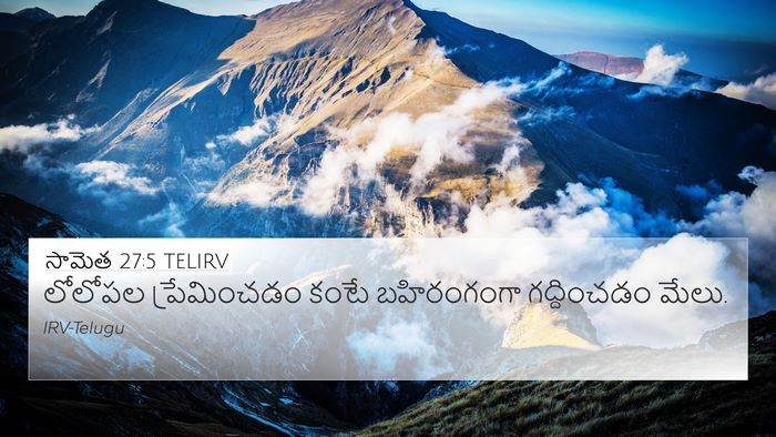 సామెత 27:5 TELIRV Bible Verse Image